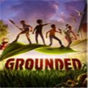 grounded v1000