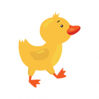 搜盘鸭app免费