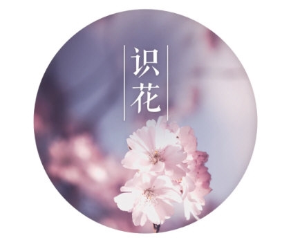 识花3
