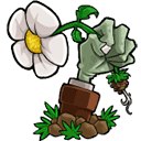 植物大战僵尸lz重制版下载 v1.3.6.1