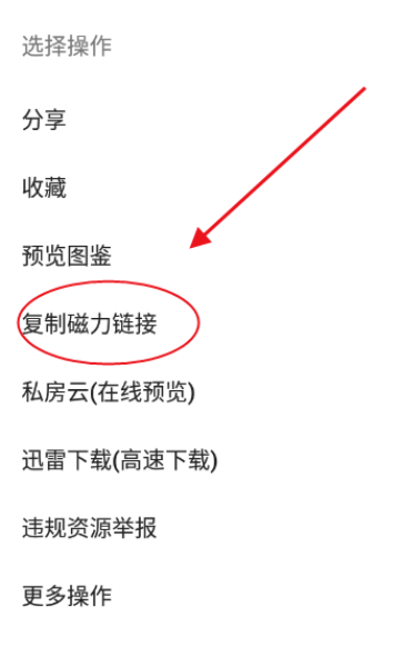 深度搜索安卓版