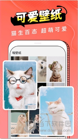图饰猫翻译