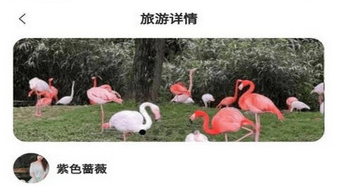 YanLong手机版