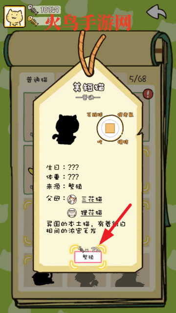 猫咪庭院物语游戏