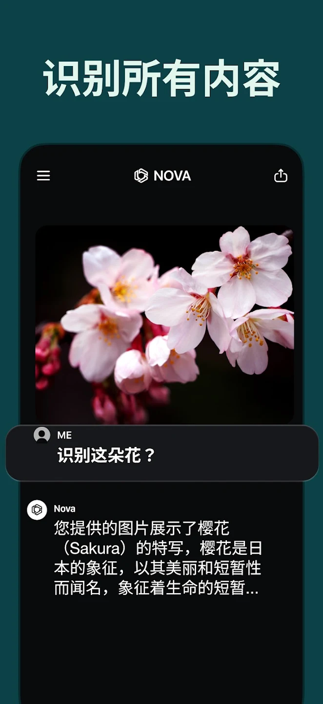 Novaappv3.8.20