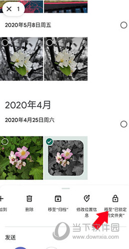 谷歌相册最新版