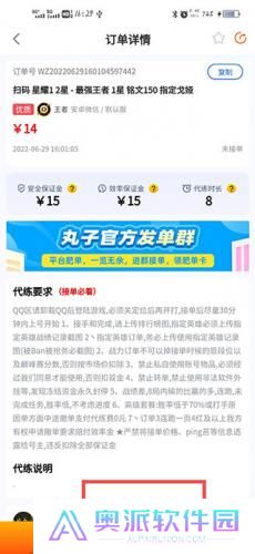 代练丸子打手版