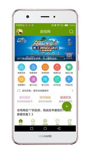 游鸽网3