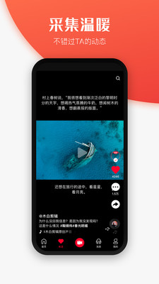 世子播播2