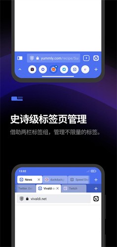 Vivaldi浏览器app v7.4.3691.42