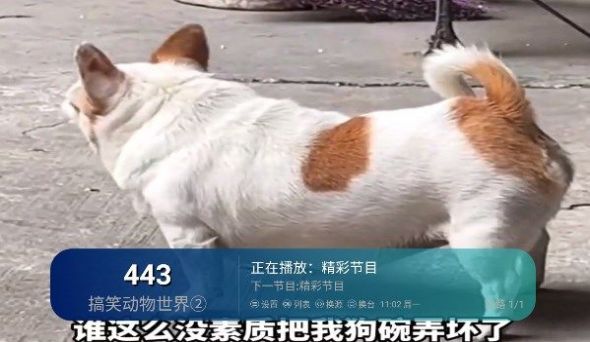 芸汐影视TV截图2