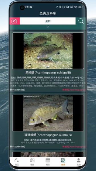 潮汐表精灵图片1