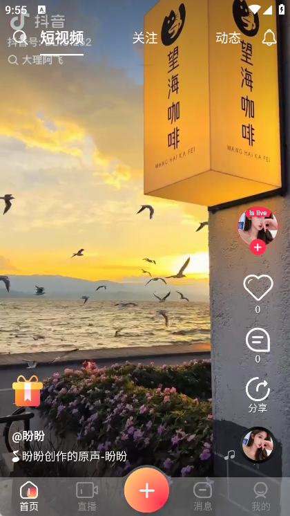 麦咚LIVE