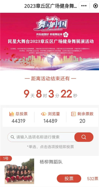 怎么投票配图3