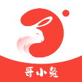 哥小兔下载 v7.9