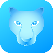 챪app