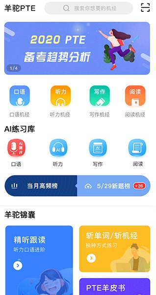 PTE羊驼4