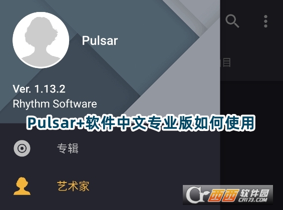 Pulsar 軟件中文專業版apk下載官方版