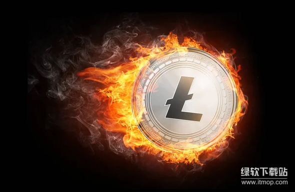 LTC币与PayPal合作吗？传统机构认可度如何？