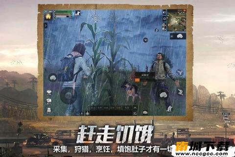 预览图3