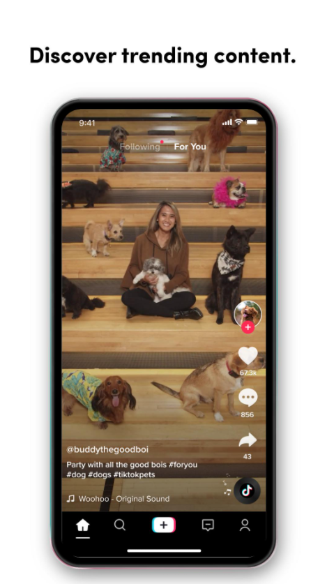 抖音国际版海外版截图