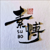 素博影院官方版下载安装最新版