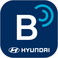 Bluelink