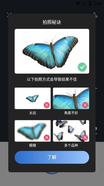 Picture Insect昆虫识别 v2.8.24安卓版下载