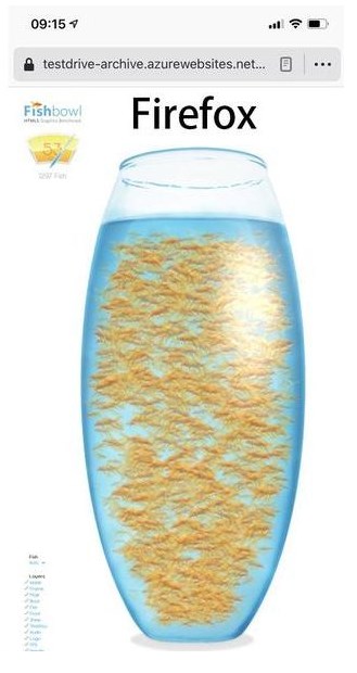 fishbowl手机测试