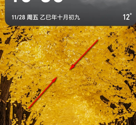 荣耀图库app官方版