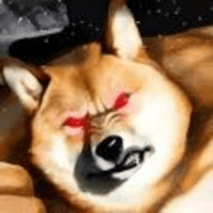肌肉柴犬 v