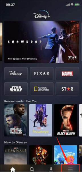 disney+电视版5