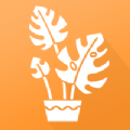 植物品鉴  V1.4下载