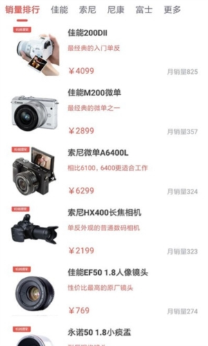 蚂蚁摄影
