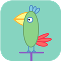 会说话的鹦鹉波利正版 v5.3