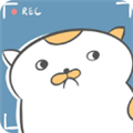 主播和猫的故事手机版  V2.5下载