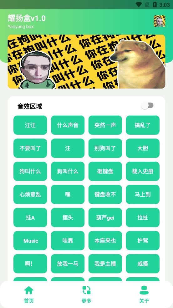 耀扬盒