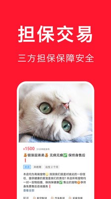 宠物宝安卓版 v4.5.2
