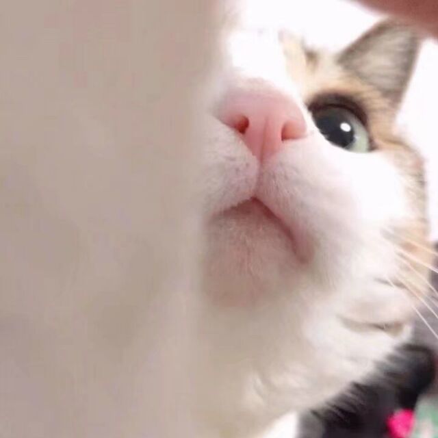 Dex脱壳工具(FunDex)v7.2.0 安卓最新版