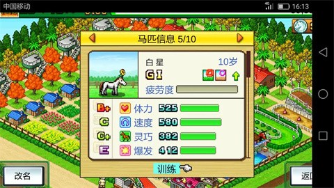 赛马牧场物语官方版