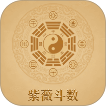 紫微斗数八字排盘官网版