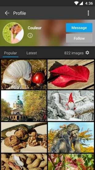 pixabay视频素材网手机版APP v1.2.15.1安卓版下载