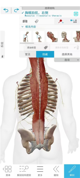 解剖和生理学软件截图6