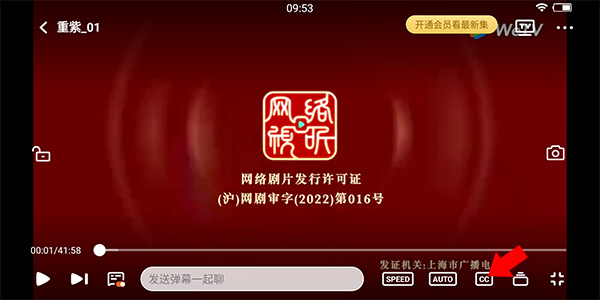 设置中文字幕截图1