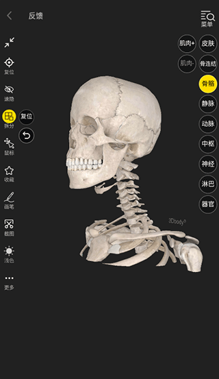 3d body解剖中文版