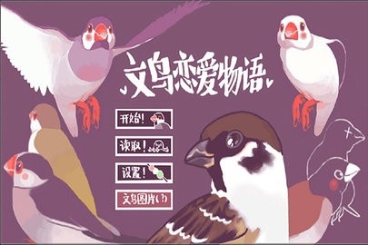 文鸟恋爱物语 v4.00.00手游下载