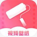 桔子壁纸