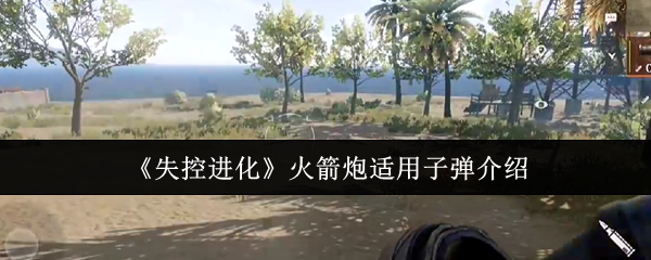 失控进化火箭炮适用子弹介绍