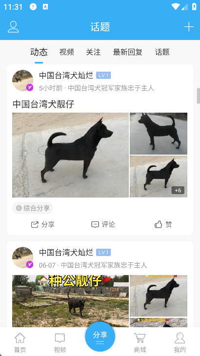 猛犬俱乐部app下载安装最新版