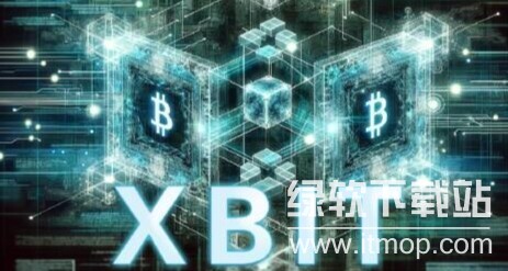 xbit交易所受哪个国家监管，xbit交易所监管严格吗？